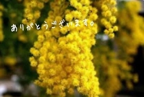 ������L���߂܂��ėl