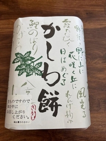 �u���O�摜