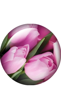 �����̂�...