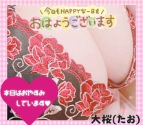 �u���O�摜