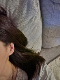 �u���O�摜