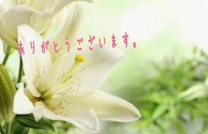 �u���O�摜
