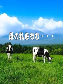 �u���O�摜