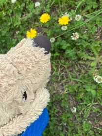 ���x�݂̓��ɂ́B�B�B