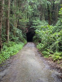 ���̐�́E�E�E