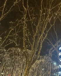 ���ε����β���