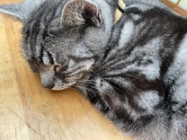 ���ε����β���