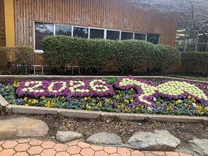 ���ε����β���