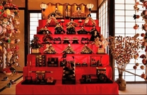 [����] from : ������...