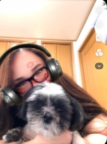 ���ε����β���