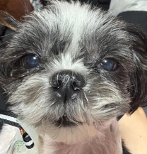 ���ε����β���