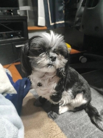 �o�΂��܂���