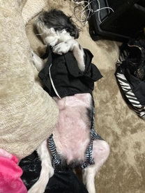 ���ε����β���