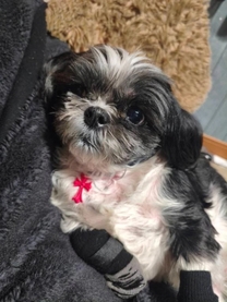 ���ε����β���