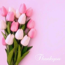 ���ε����β���