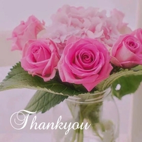 ���ε����β���