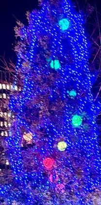 ���ε����β���