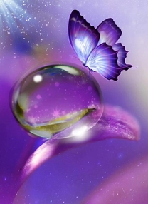 ���₷�݂Ȃ���(-_-)zzz