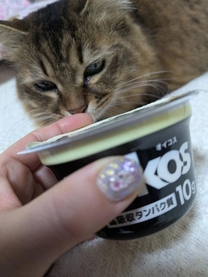 ���ε����β���