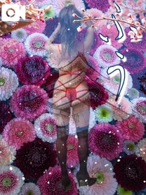 �u���O�摜