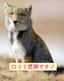 R~肪Ƃ...