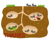 ���ε����β���