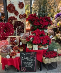 ���ε����β���