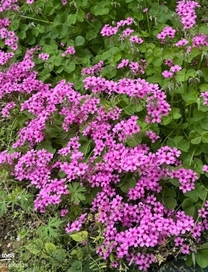 ���ε����β���