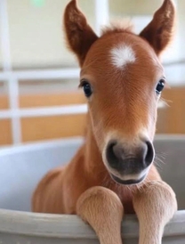 ���ε����β���