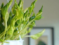 ���ε����β���