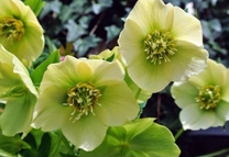 ���ε����β���