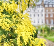 ���ε����β���