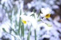 ���ε����β���