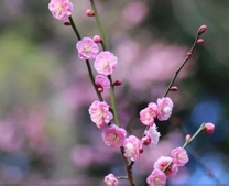 ���ε����β���