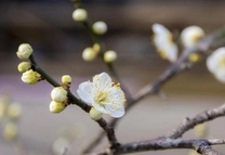 ���ε����β���