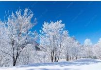 ���ε����β���