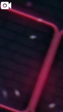 c3