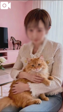 ���ε����β���