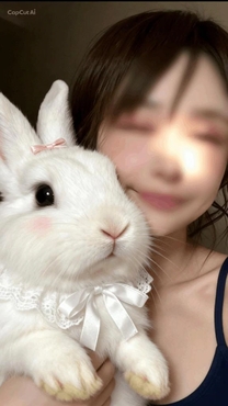 ���ε����β���