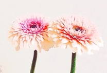 ���ε����β���