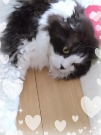 ���ε����β���