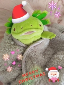 ���ε����β���