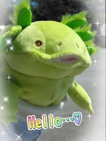 ���ε����β���