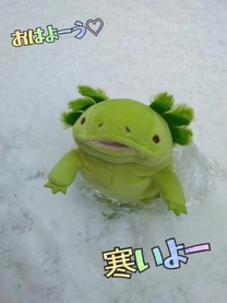 ���ε����β���