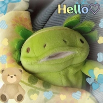 ���ε����β���