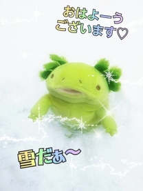 ���ε����β���