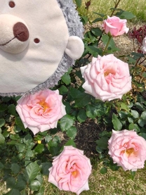 ���ε����β���