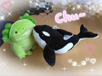 ���ε����β���