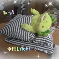 ���ε����β���