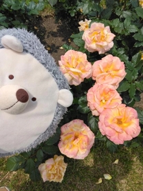 ���ε����β���